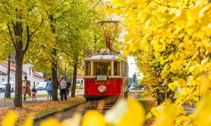 Sắc thu đến sớm ở Prague