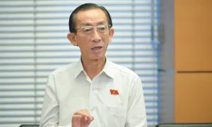 'Nên tăng lương hưu từ năm 2025'